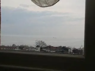 Апартаменты Tulip House *