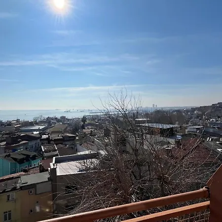 Apartmán Tulip House