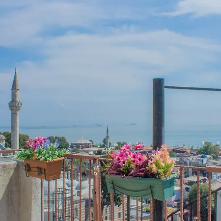 Tulip House شقة *