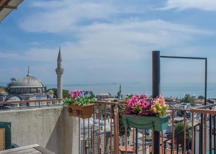 Apartman Tulip House