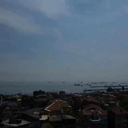 Hotell Tulip House 3*