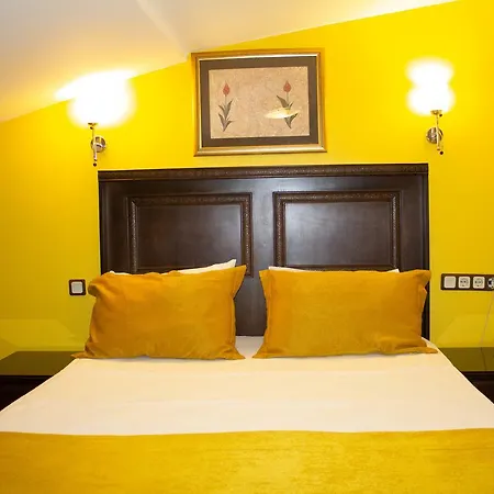 Hotell Tulip House